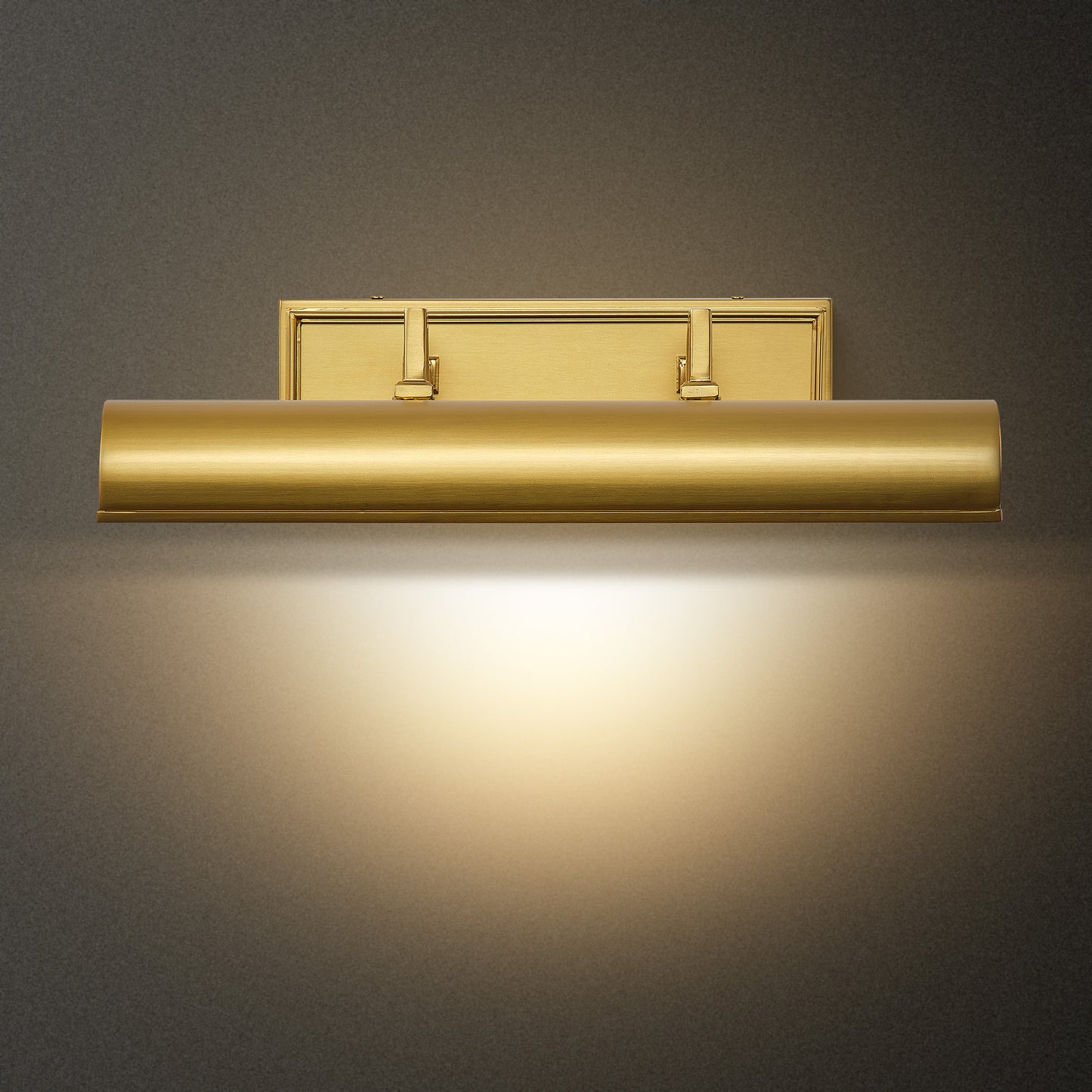 24 in. 1-Light Gold Modern Vanity Light with White Shade